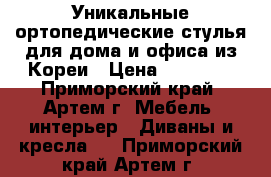 Уникальные ортопедические стулья для дома и офиса из Кореи › Цена ­ 15 000 - Приморский край, Артем г. Мебель, интерьер » Диваны и кресла   . Приморский край,Артем г.